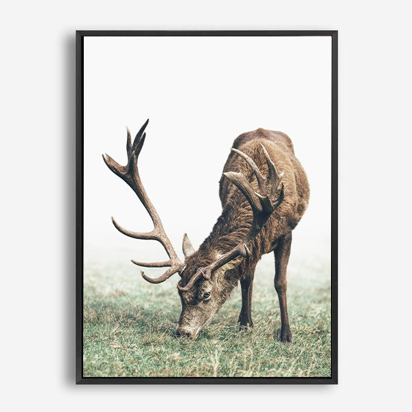 Doe | Canvas Print