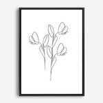 Tulips | Line Art | Canvas Print
