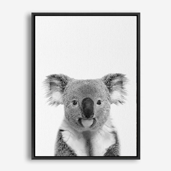 Koala  Canvas Print – Life In Ink
