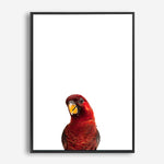 Parrot | Canvas Print