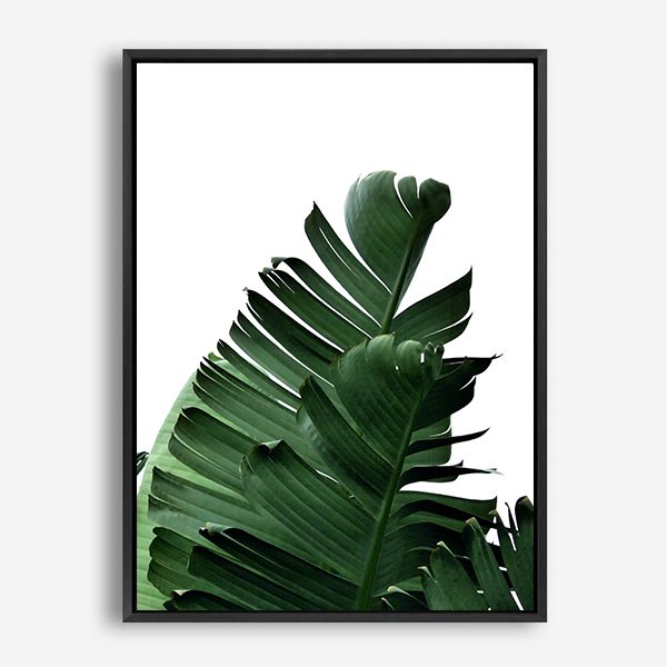 Tribeca II | Canvas Print