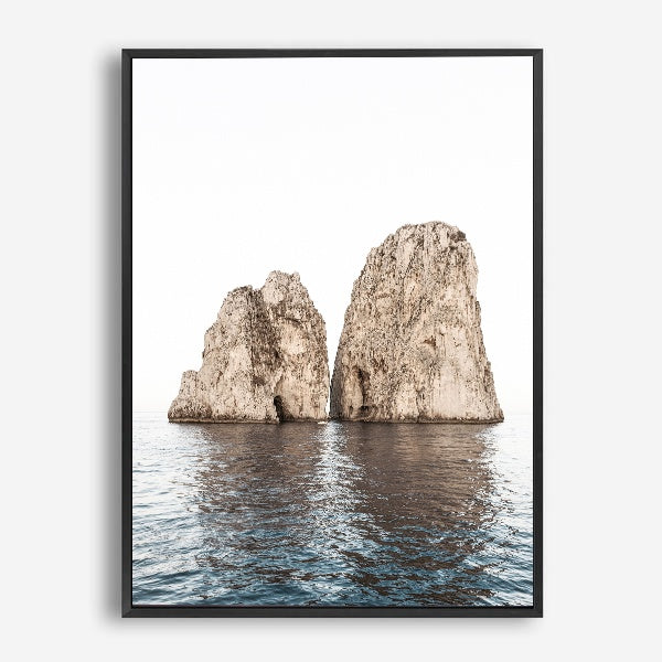 Angus | Canvas Print