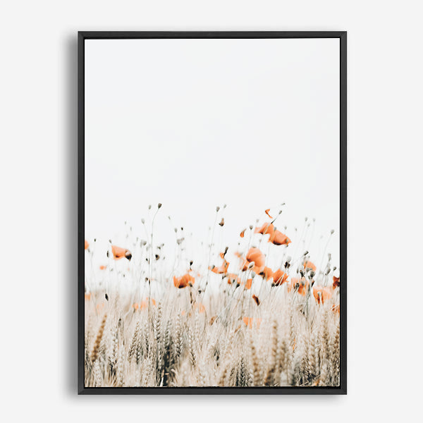 Poppies II | Canvas Print