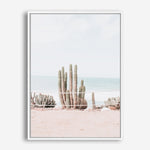 Beach Cactus | Canvas Print