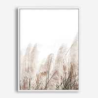 Marlow | Canvas Print