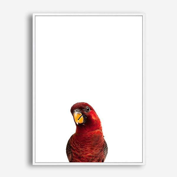 Parrot | Canvas Print