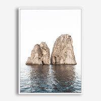 Angus | Canvas Print