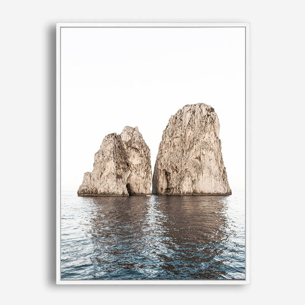 Angus | Canvas Print