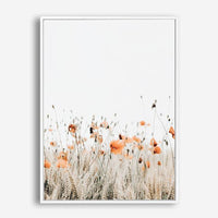 Poppies I | Canvas Print