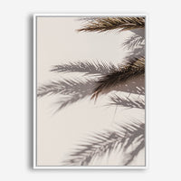 Palm Shadow II | Canvas Print