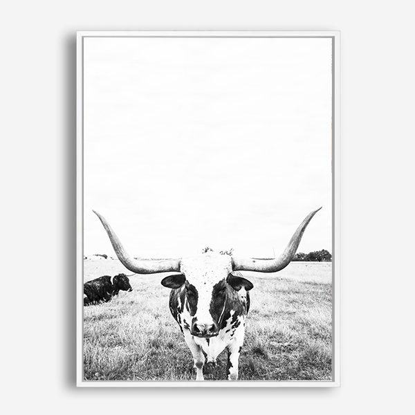 Steer | Canvas Print