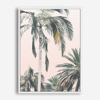 Orissa | Canvas Print