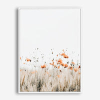 Poppies II | Canvas Print