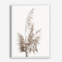 Pampas Grass | Canvas Print