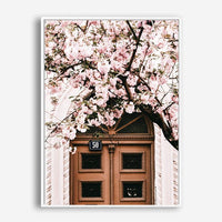 Cherry | Canvas Print