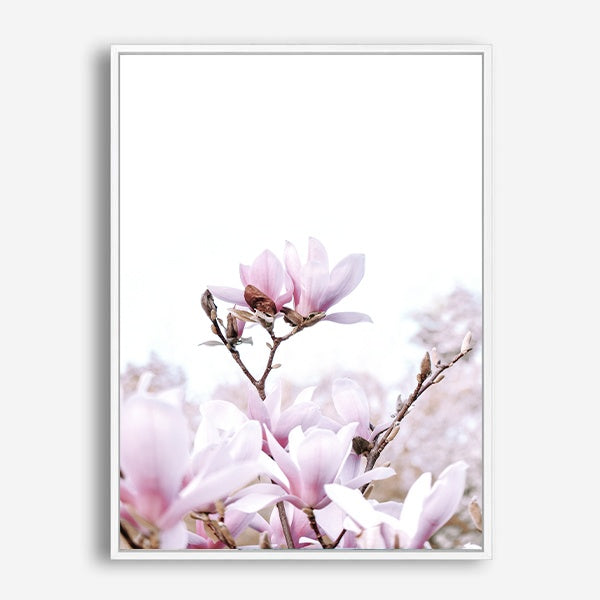 Magnolia | Canvas Print