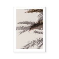 Palm Shadow II | Art Print