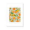 Valencia | The Fruit Collection | Art Print