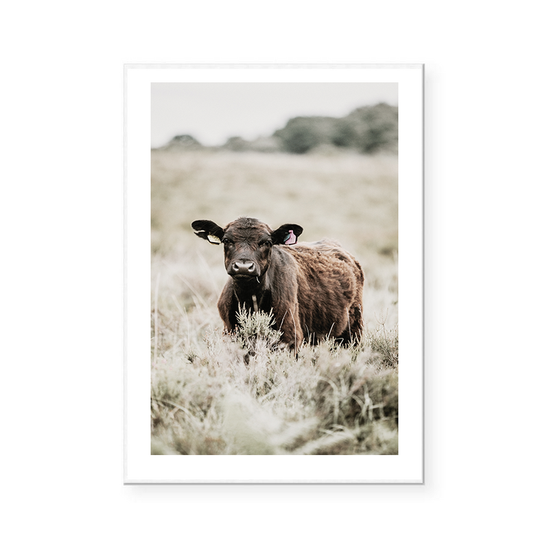 Cow | Art Print