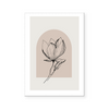 Magnolia Illustration III | Art Print