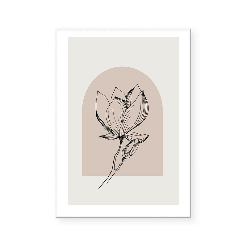 Magnolia Illustration III | Art Print