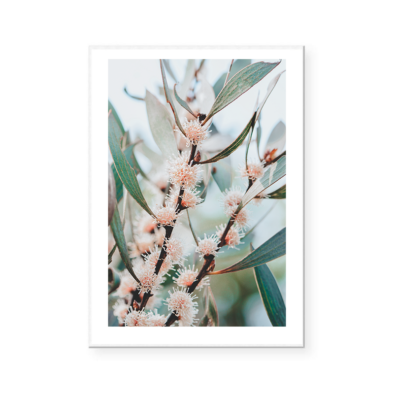 Native Flora | Art Print