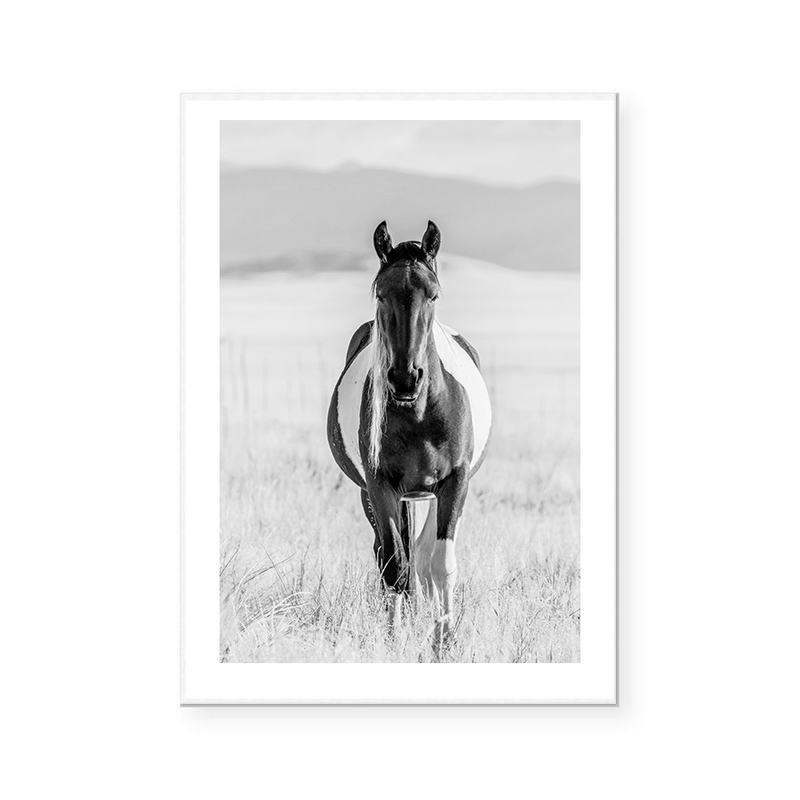 Western Wild Horse | Art Print