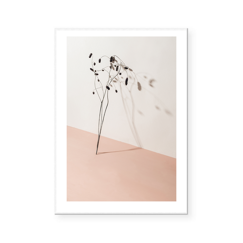 Dry Floral | Art Print