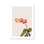 Le Orchid | Art Print