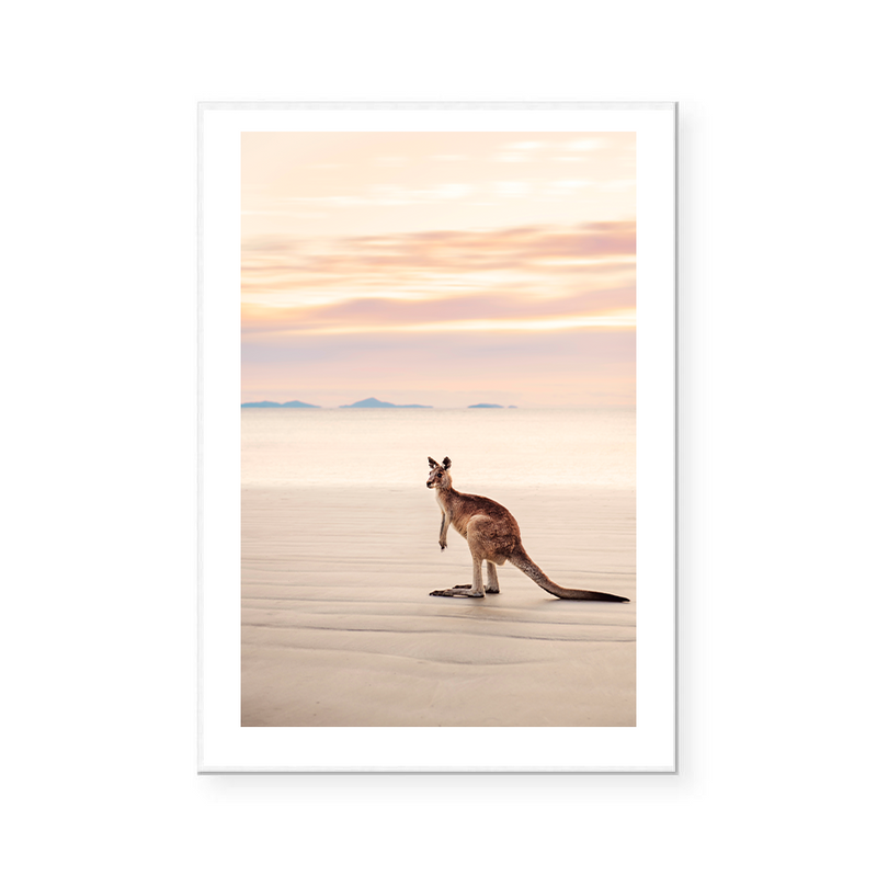 Kangaroo | Art Print