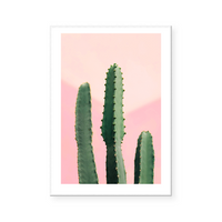 Pink Cactus | Art Print