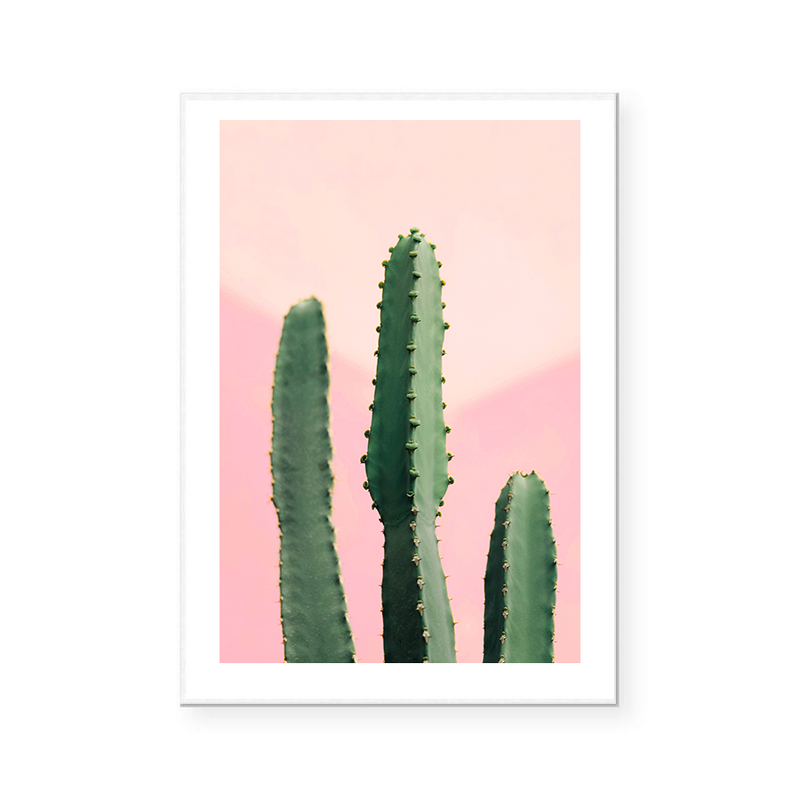 Pink Cactus | Art Print
