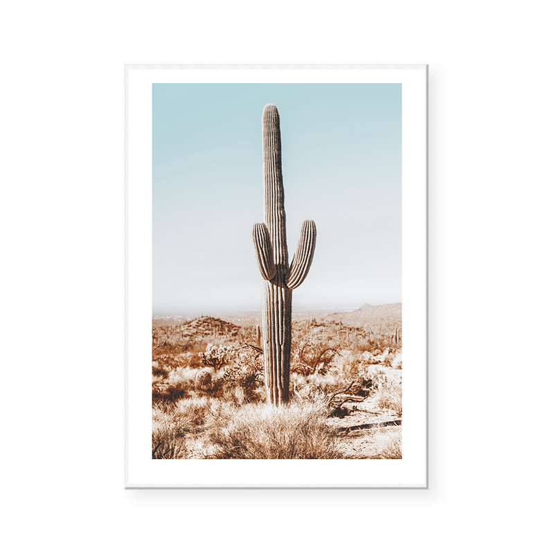 Desert Cactus Views | Art Print