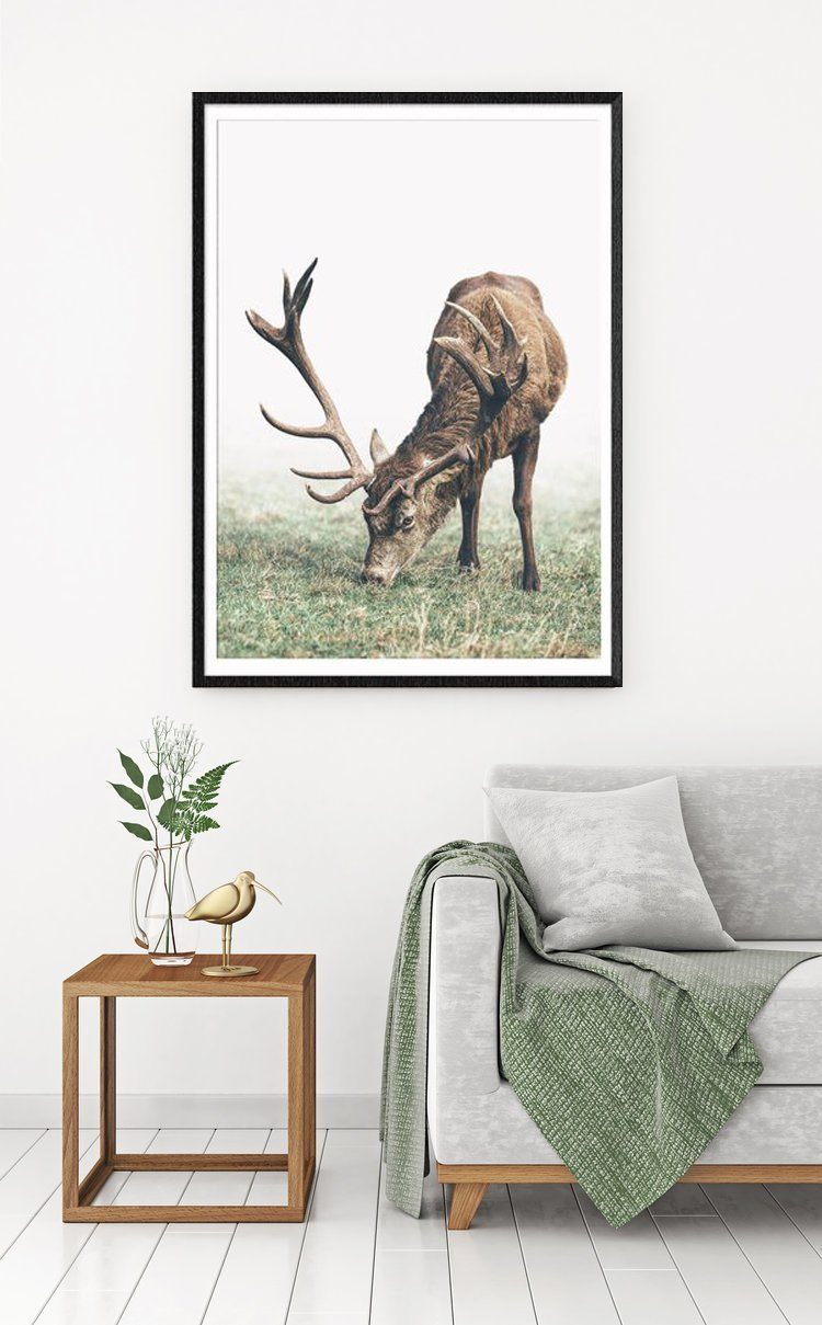 Doe | Art Print