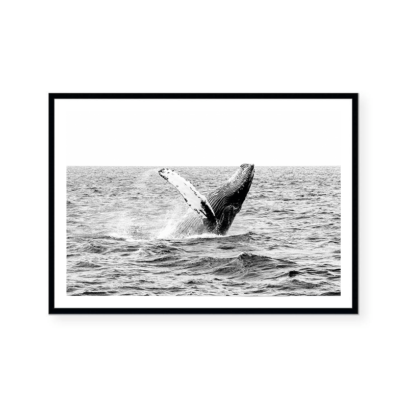 Whale | Art Print