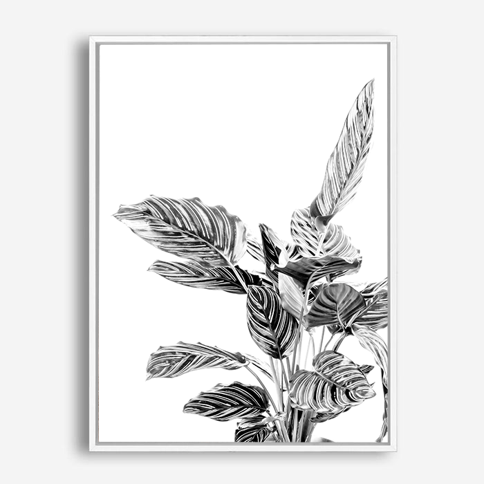 Indie II | Canvas Print