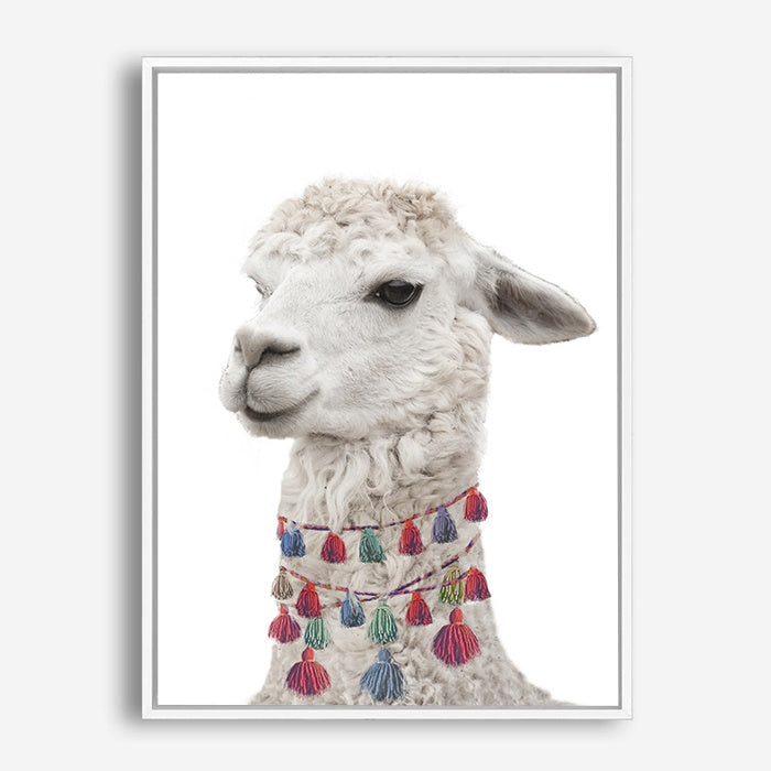 Baby Llama | Canvas Print