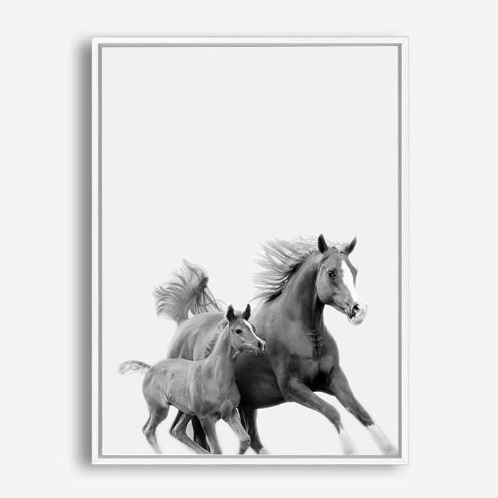 Saxton | Canvas Print