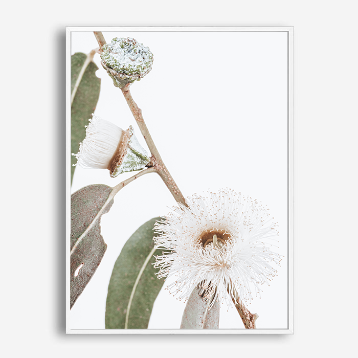 Elizabeth | Canvas Print