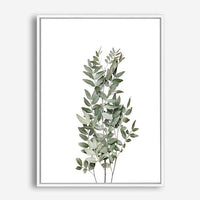 Judd | Canvas Print