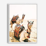 Desert Camels | Canvas Print