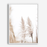 Jessie | Canvas Print