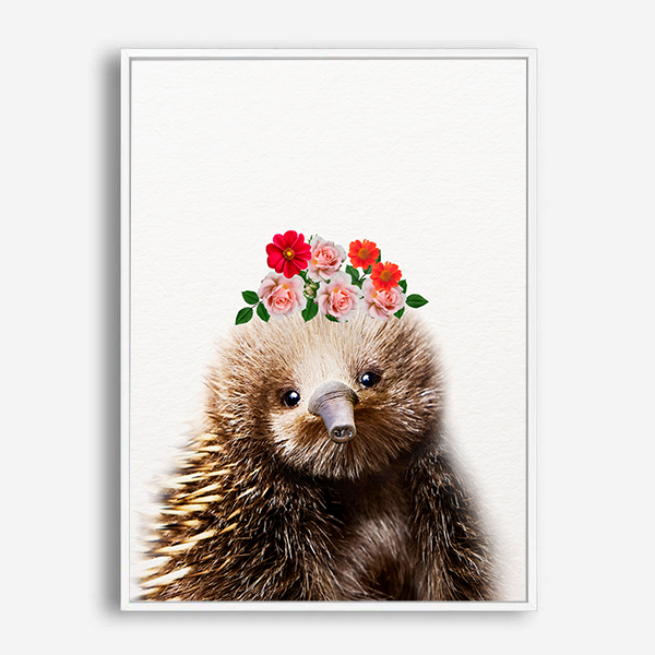 Echidna | Canvas Print