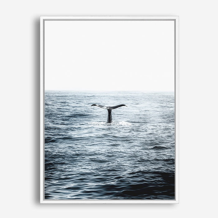 Humpback | Canvas Print