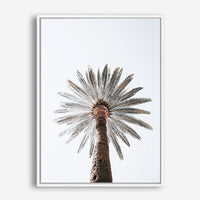 Silas | Canvas Print