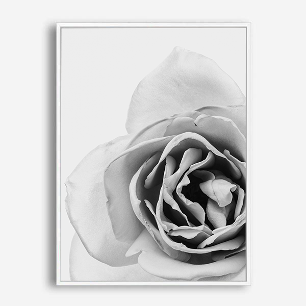 Blossom | Canvas Print