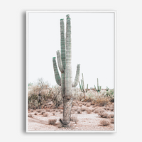 Bailey | Canvas Print