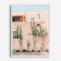 Mimosa | Canvas Print