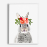 Baby Bunny | Canvas Print