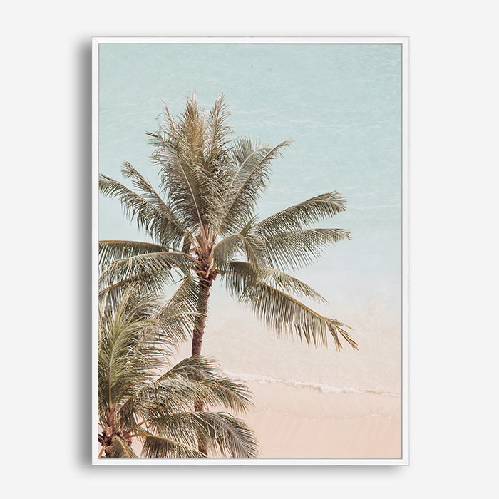 Amias | Canvas Print